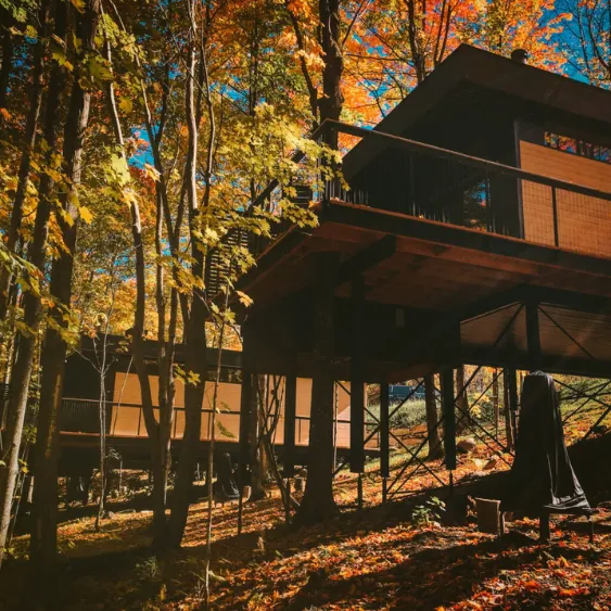 Elevated cabin in a forest during autumn, built on screw piles